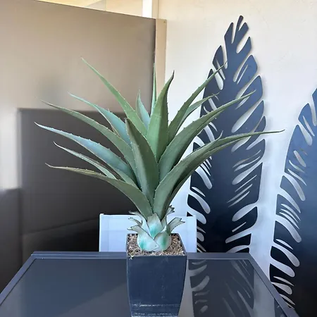 Lägenhet Stunning 3-room With Panoramic Views Over Cannes