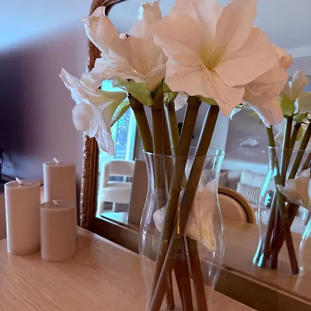 Stunning 3-room With Panoramic Views Over Cannes لو كانيت